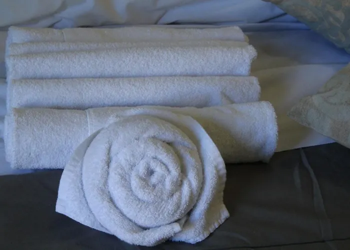 Duca's بيت ضيافة تورينو